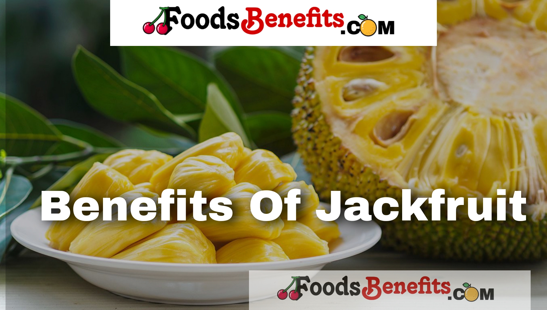 The Benefits of Jackfruit. Benefits and Nutrition