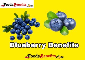 Learn about the numerous health benefits of Blueberries and how they can improve your overall well-being.