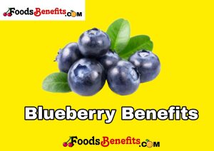 Learn about the numerous health benefits of Blueberries and how they can improve your overall well-being.