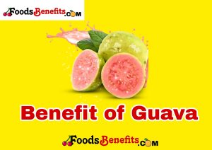 The benefits of guava or Guava which can be considered as the true superfood have the most important and valuable nutrients for the people who take it.